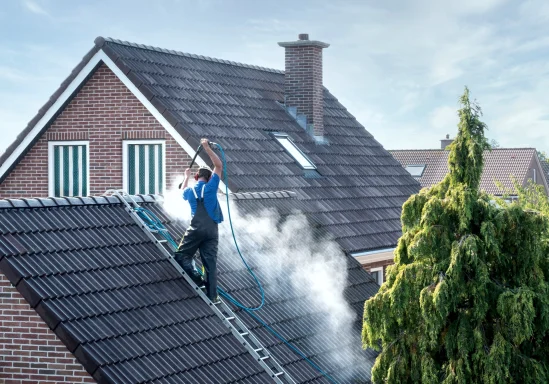 Roof cleaning