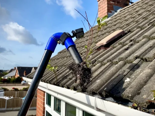 Gutter cleaning